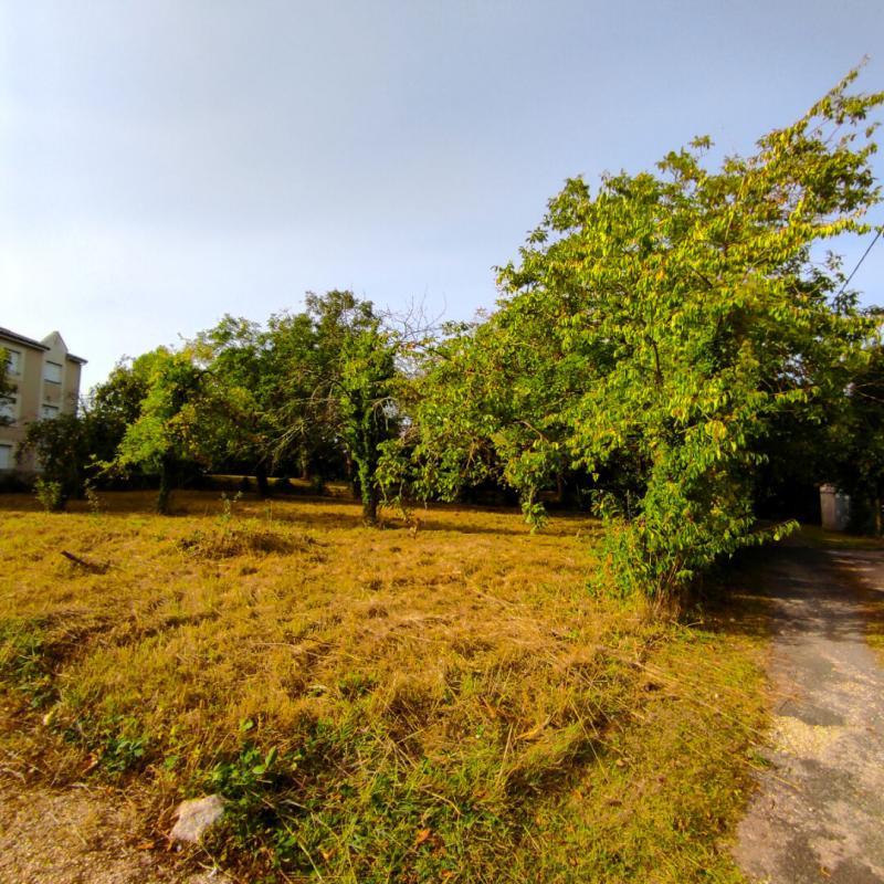 Terrain - 834 m²