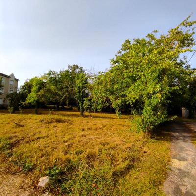 Terrain - 834 m²