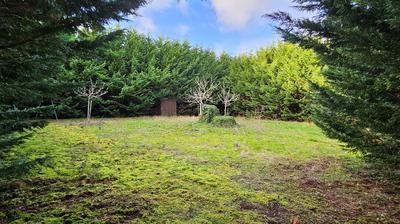 Terrain - 600 m²