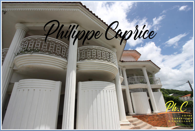 Maison - 260 m² - 7 pièces