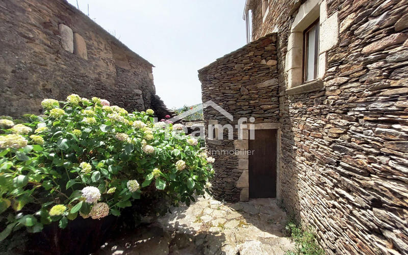 Mas - 252 m² - 10 pièces