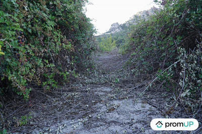 Terrain de loisirs - 1 195 m²