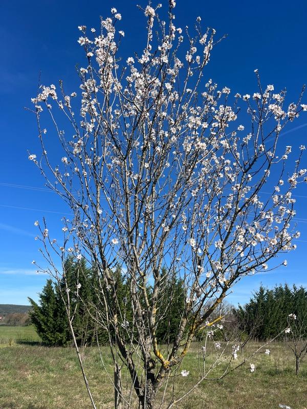 Terrain de loisirs - 2 600 m²