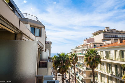 Appartement - 23 m² - 1 pièce