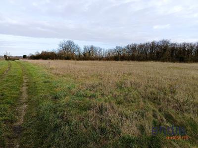 Terrain agricole - 6 248 m²