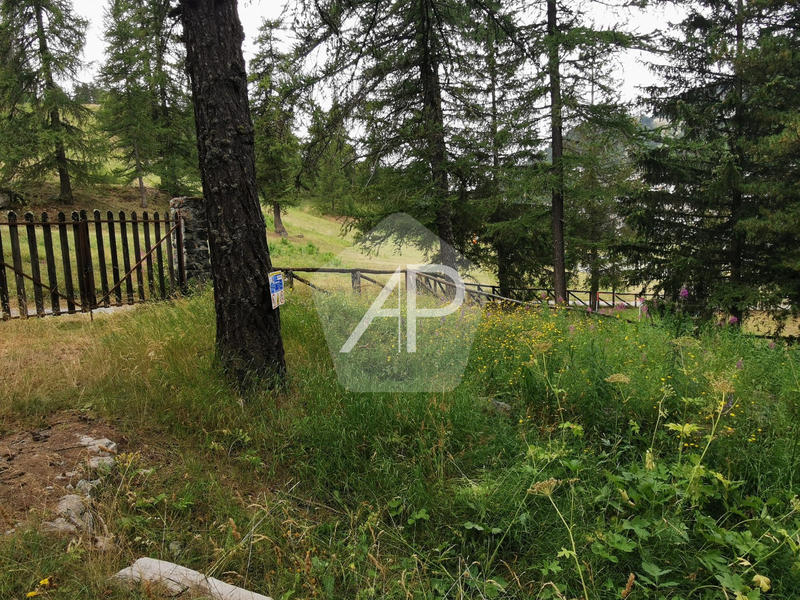 Appartement - 50 m² - 3 pièces