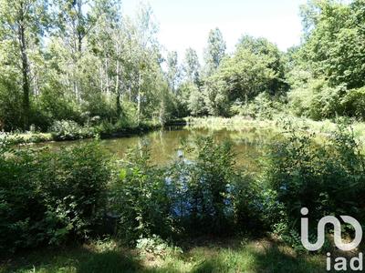 Terrain - 22 944 m²