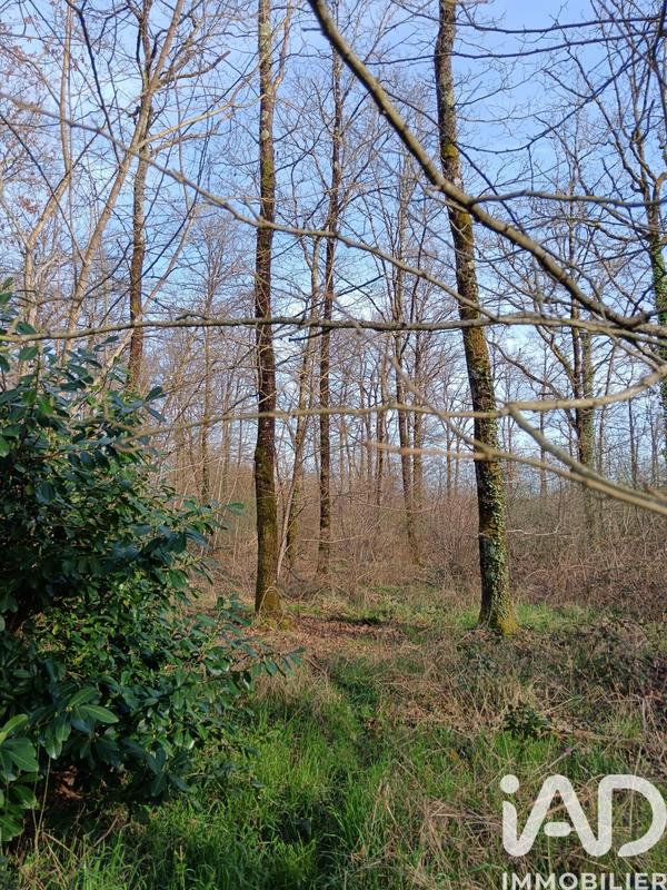 Terrain - 24 045 m²