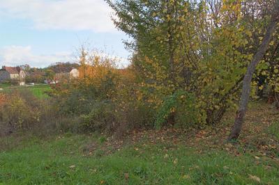 Terrain constructible - 1 700 m²