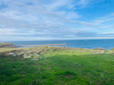 Maison - 35 m² - 2 pièces