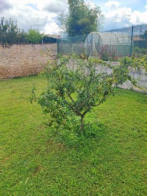 Terrain constructible - 499 m²