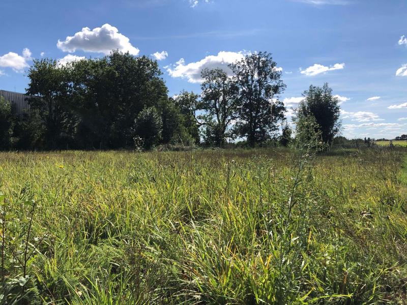 Maison en pierre - 314 m² - 6 pièces