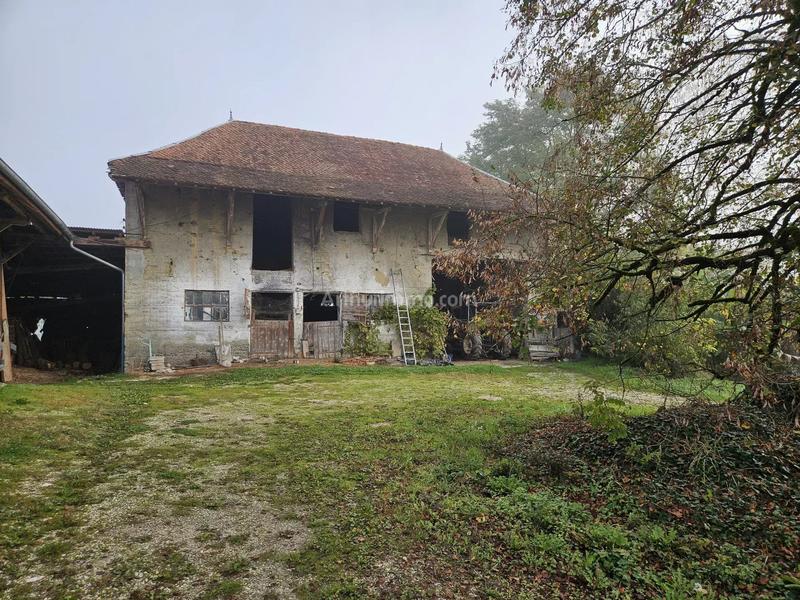 Viager - Maison - 90 m² - 4 pièces
