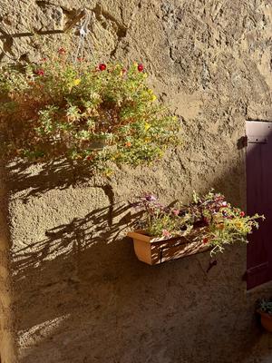 Appartement - 79 m² - 4 pièces