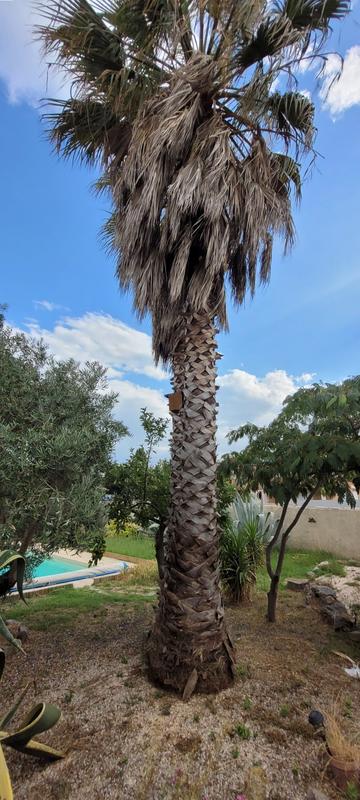 Villa - 127 m² - 6 pièces