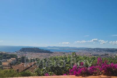 Villa - 338 m² - 7 pièces