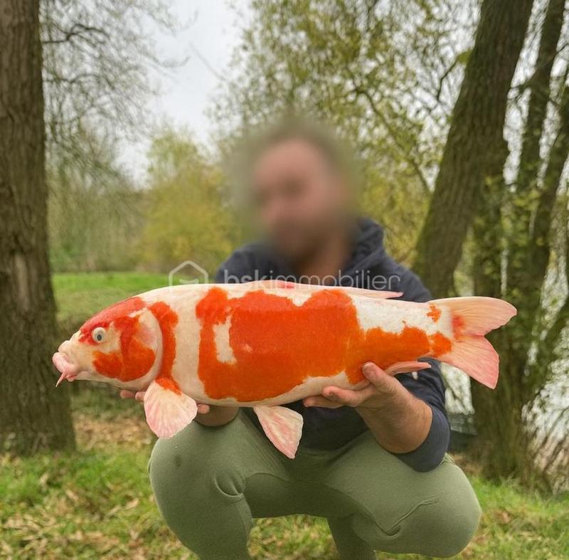 Terrain de loisirs - 10 885 m²