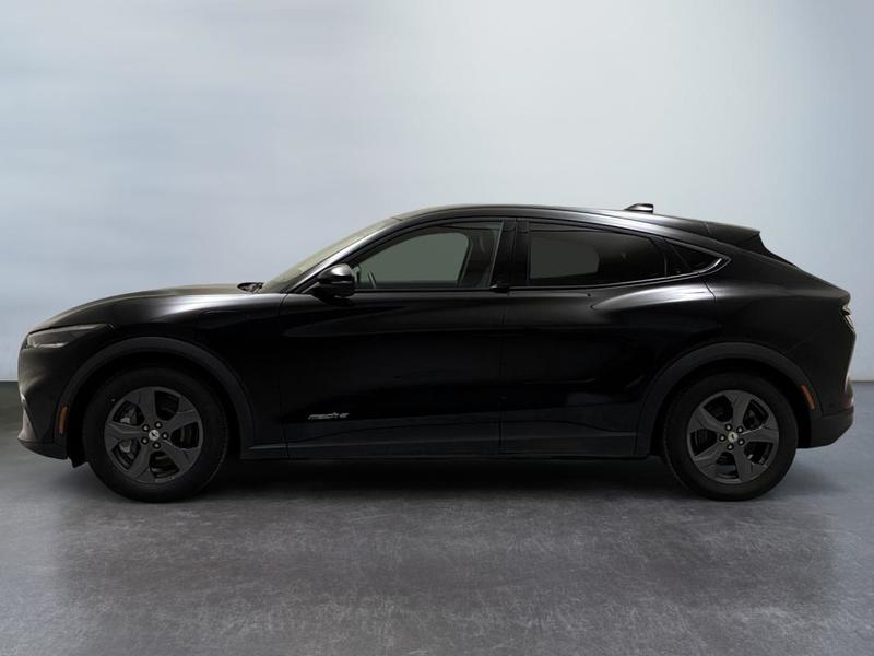 Ford Mustang Mach-E Standard Range 76 kWh 269 ch