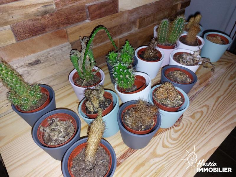 Local commercial - 60 m² - 2 pièces