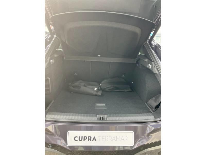 Cupra Terramar 1.5 eHybrid 272 ch Dsg6 Vz