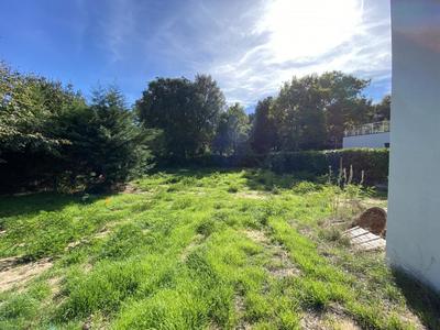 Terrain - 493 m²