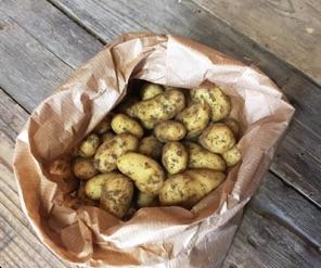 Ferme de Bretonvilliers