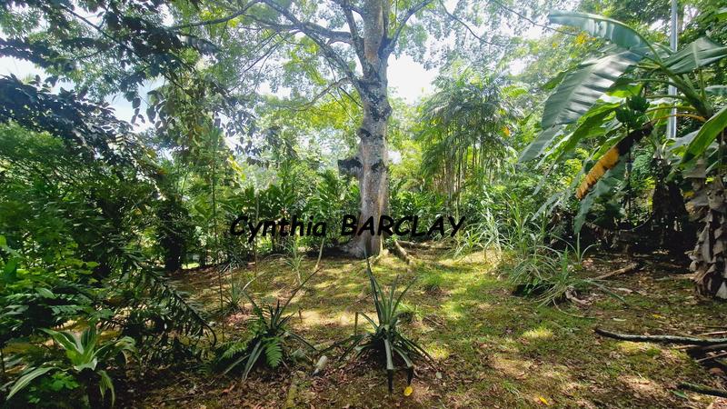 Villa - 264 m² - 6 pièces