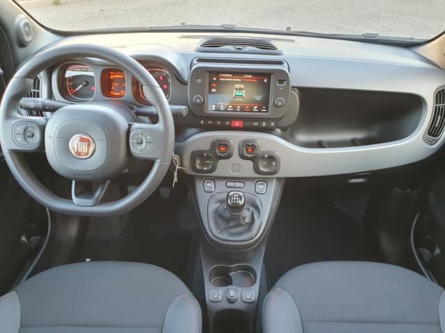 Fiat Panda My21 1.0 70 ch Hybride Bsg s/S Sport