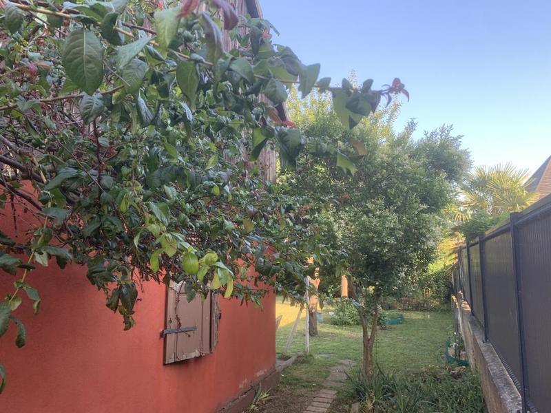 Maison - 133 m² - 5 pièces