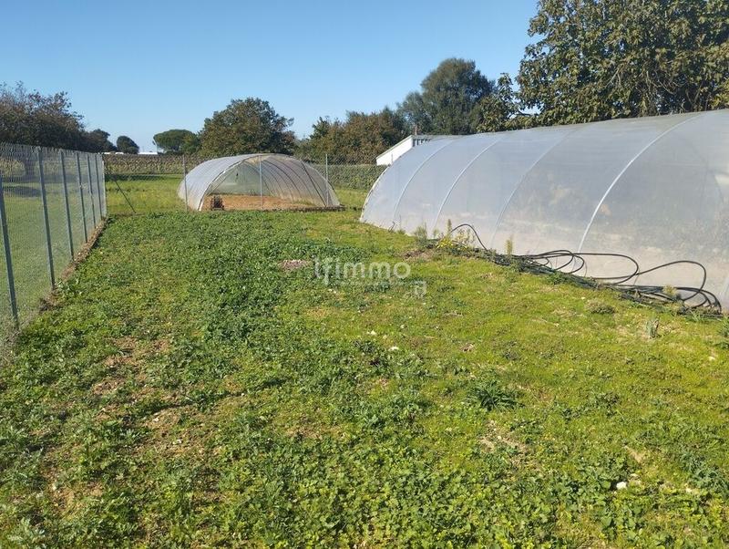 Maison - 114 m² - 4 pièces