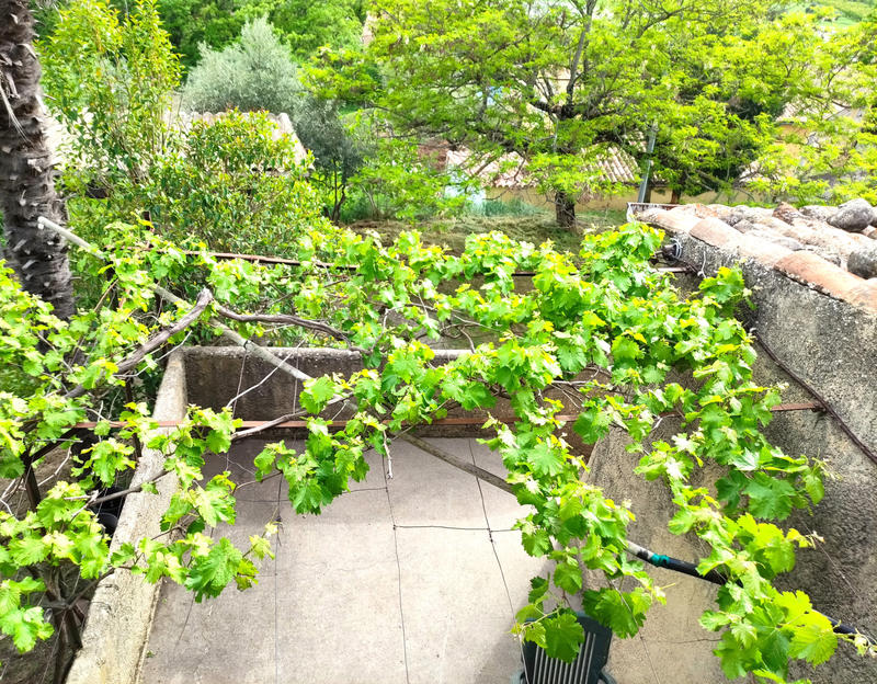 Ferme - 100 m² - 5 pièces