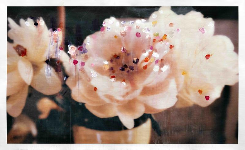 Exposition : François Halard - ne rien jeter, 33 ans après