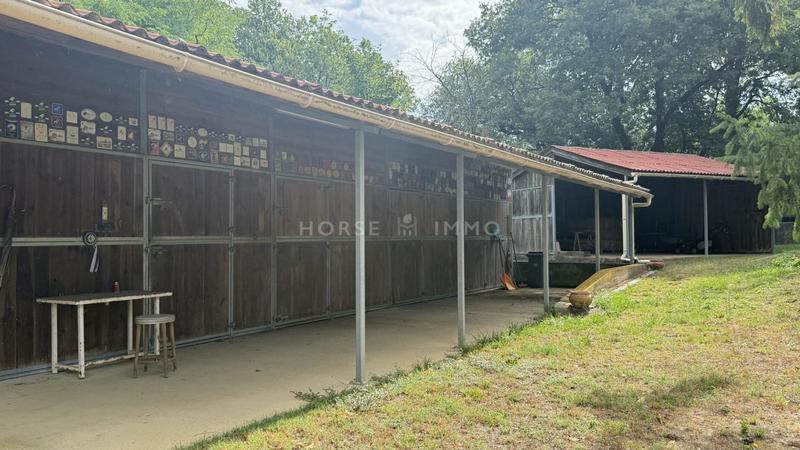 Propriété - 300 m² - 8 pièces