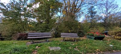 Appartement - 85 m² - 5 pièces