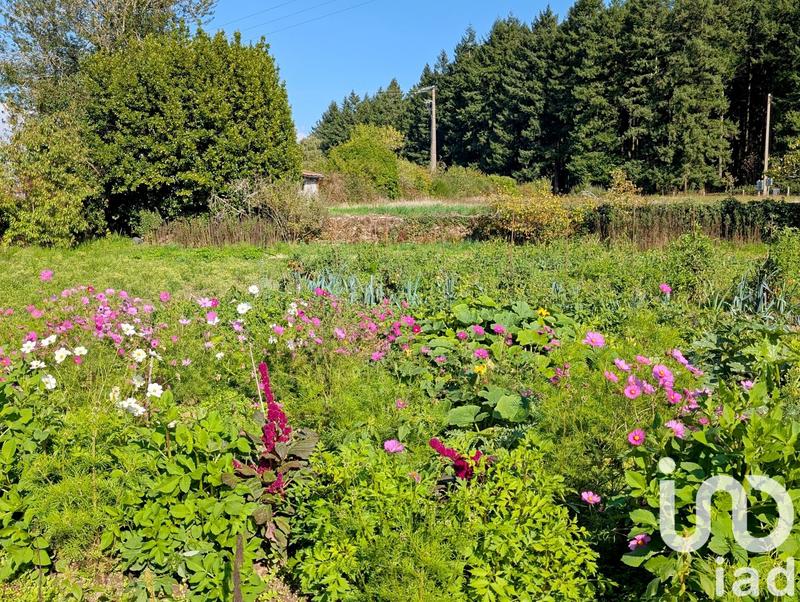 Maison de campagne - 93 m² - 5 pièces