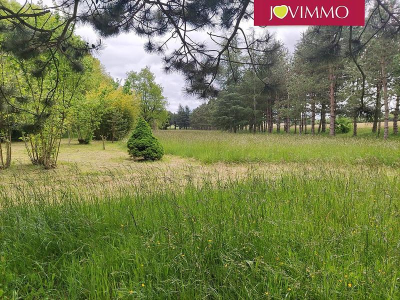 Terrain - 100 000 m²