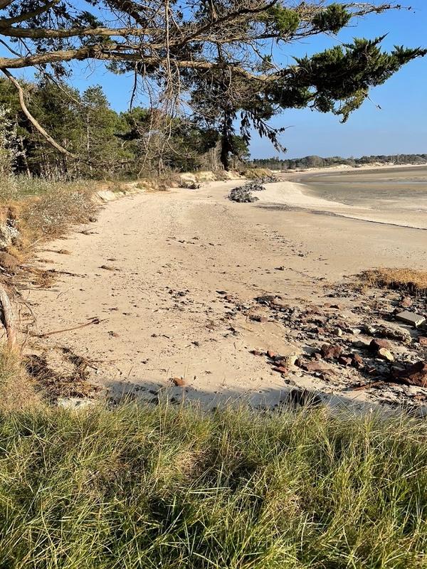 Promenade-découverte nature de la pointe nord du havre de la Vanlée