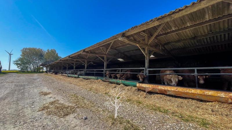 Corps de ferme - 142 m² - 5 pièces