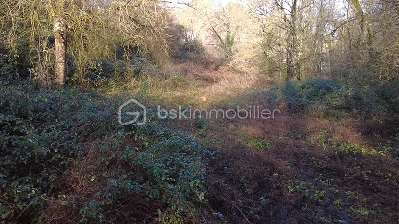 Terrain agricole - 4 130 m²