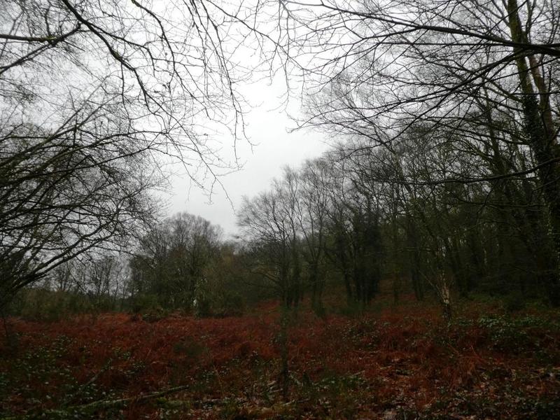 Terrain agricole - 13 922 m²