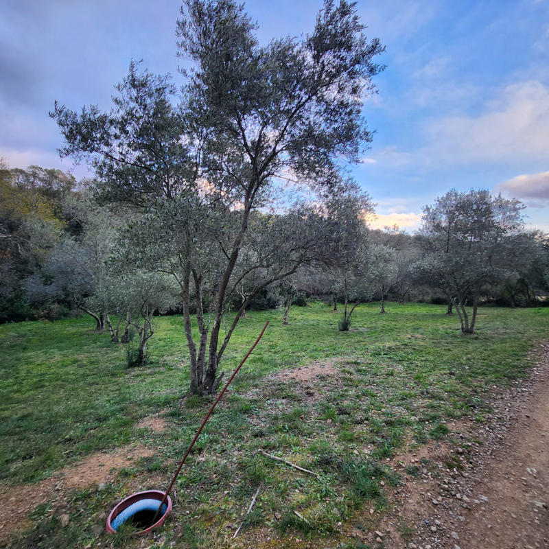 Demeure - 194 m² - 7 pièces