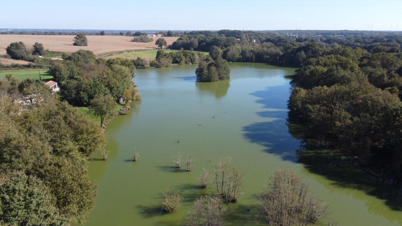 Maison - 278 m² - 10 pièces