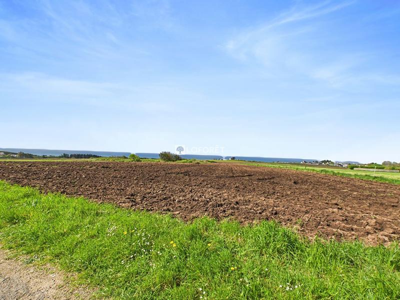 Maison - 115 m² - 7 pièces