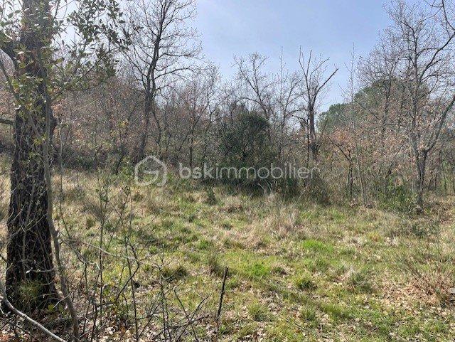 Terrain agricole - 4 607 m²