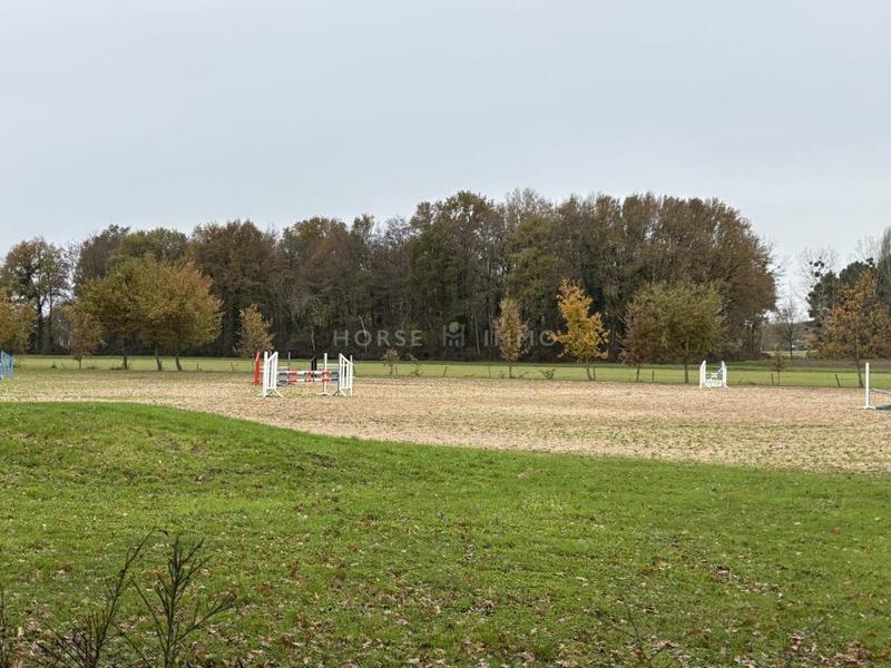 Maison de domaine équestre - 235 m² - 8 pièces