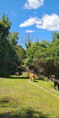 Maison de village - 87 m² - 4 pièces