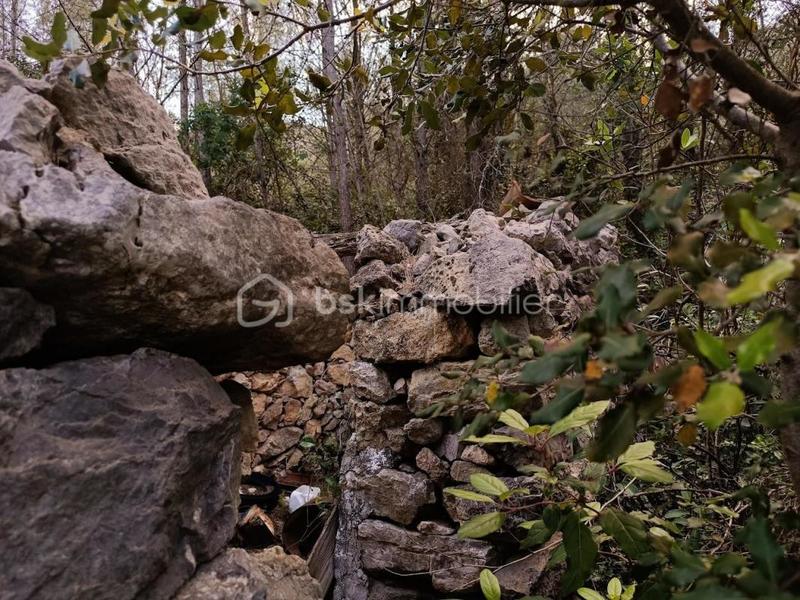 Terrain agricole - 7 800 m²