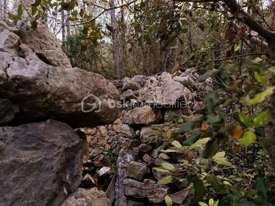 Terrain agricole - 7 800 m²