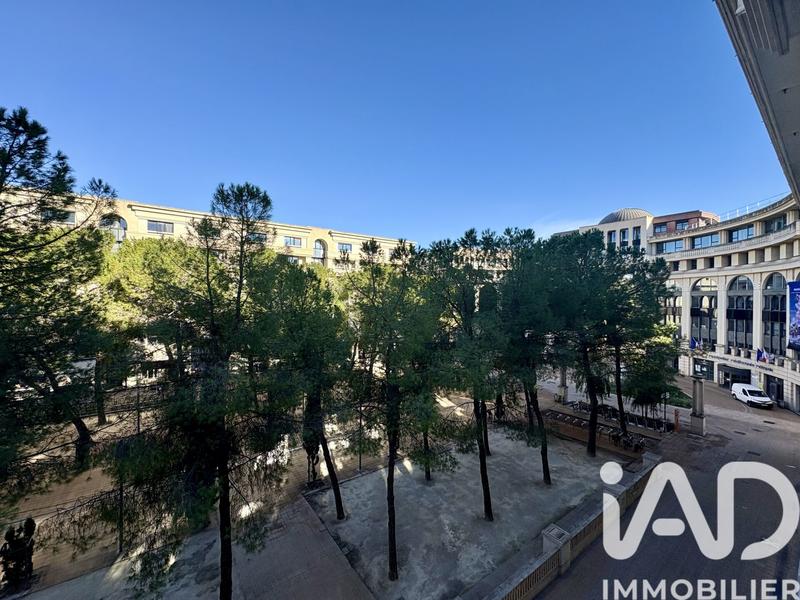 Appartement - 57 m² - 2 pièces