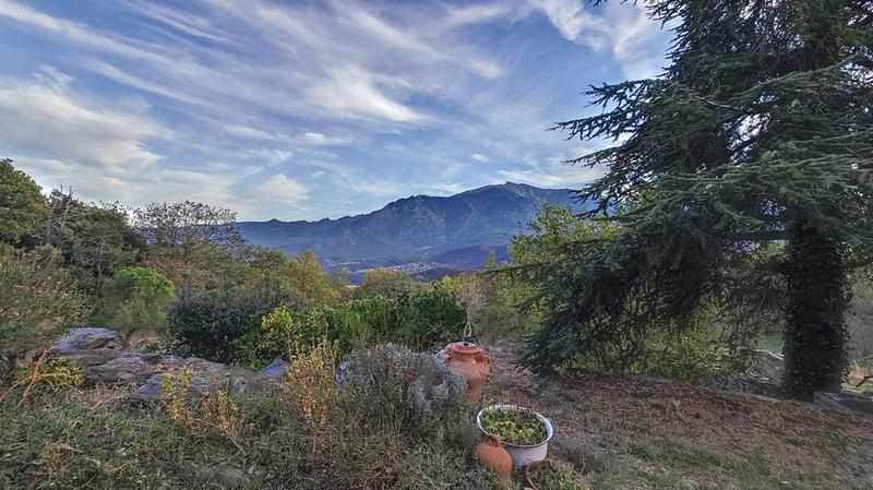 Maison - 285 m² - 13 pièces